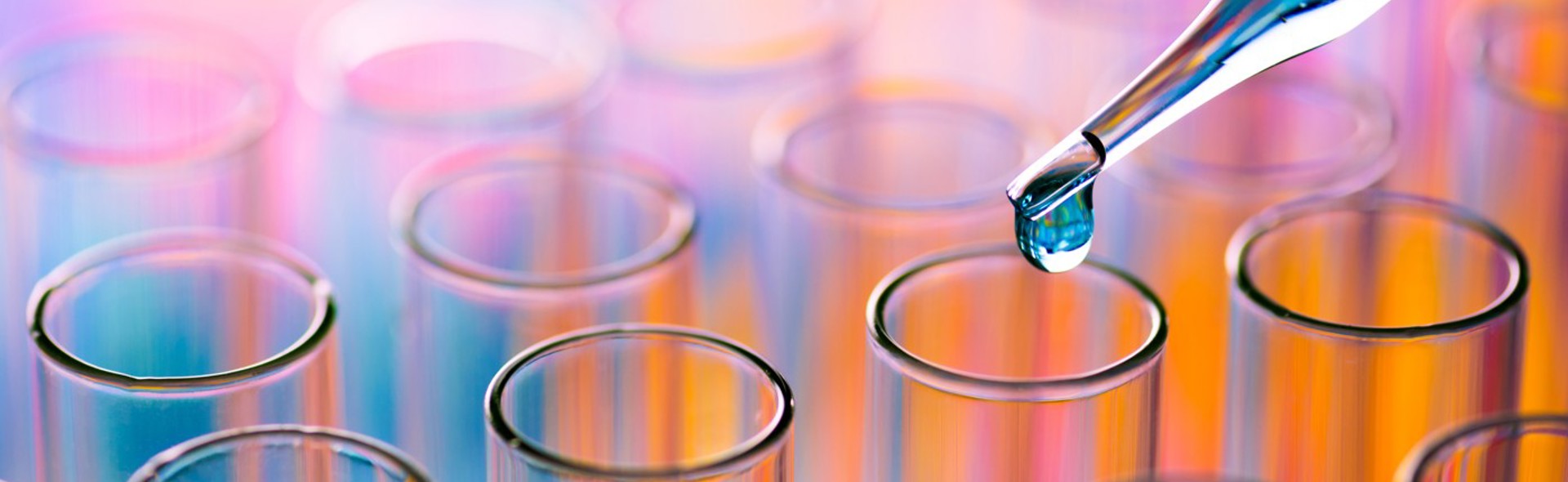 Page Header Image